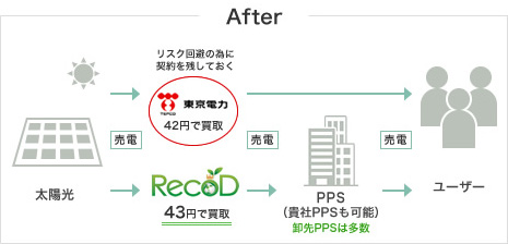 れこどと電力会社による太陽光発電所で発電された電気買取の仕組み図(after)